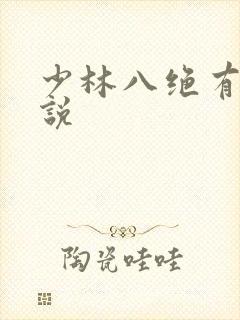 少林八绝有声小说