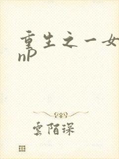 重生之一女九龙nP