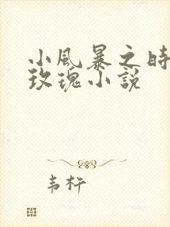 小风暴之时间的玫瑰小说