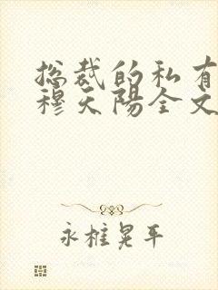 总裁的私有宝贝穆天阳全文阅读