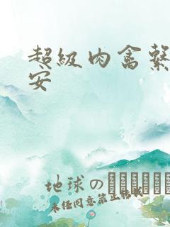 超级肉禽系统保安