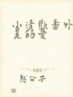 小清欢番外篇完美的爱