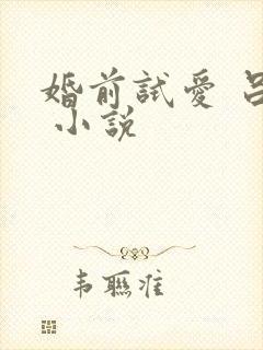 婚前试爱 吕颜 小说