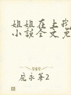 姐姐在上我在下小说全文免费阅读