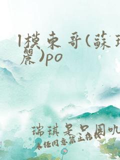 l模东哥(苏玛丽)po