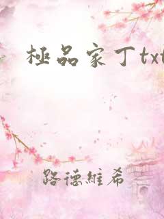 极品家丁txt