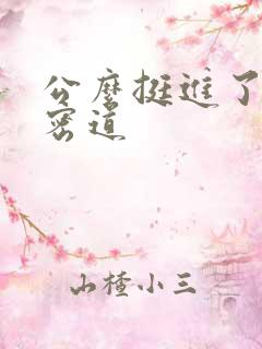 公么挺进了我的密道