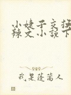 小婕子交换系列辣文小说下载