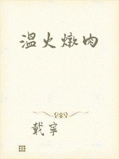 温火炖肉