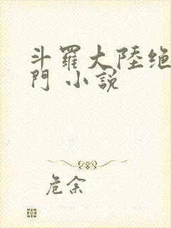 斗罗大陆绝世唐门 小说