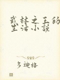 武林之王的退隐生活小说