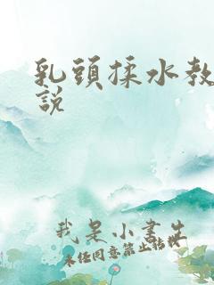 乳头揉水教室小说