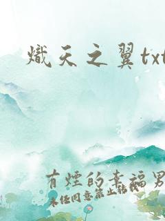 炽天之翼txt