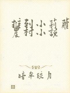 推到小莉萝稚嫩农村小说