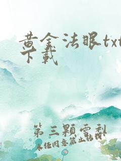 黄金法眼txt下载