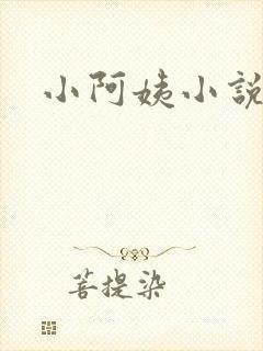 小阿姨小说