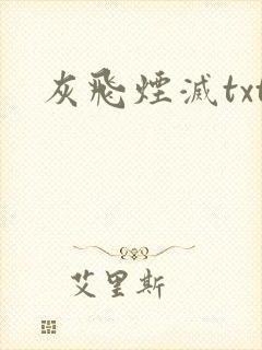 灰飞烟灭txt