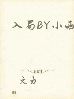 入局BY小西