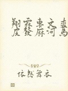 翔霖车文爽到头皮发麻河马的秘密