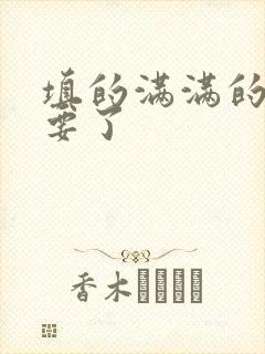 填的满满的 不要了