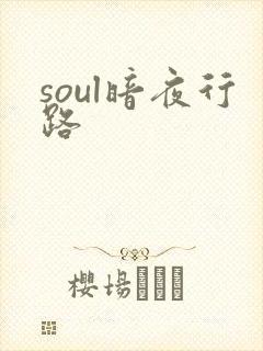 soul暗夜行路