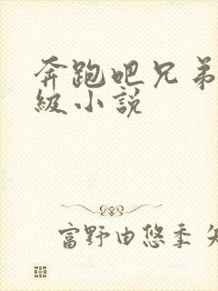 奔跑吧兄弟限制级小说