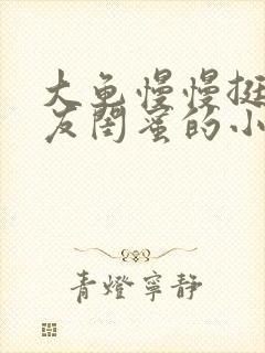 大龟慢慢挺进女友闺蜜的小说