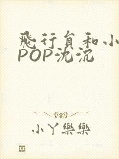 飞行员和小空乘POP沈沉