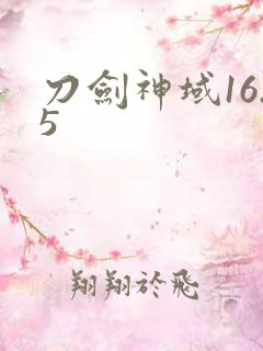 刀剑神域16.5
