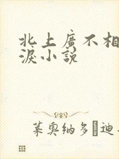 北上广不相信眼泪小说