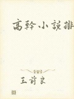 高干小说排行榜