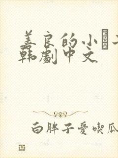 善良的小峓子2韩剧中文