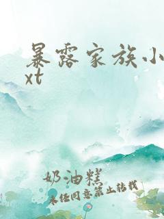 暴露家族小说txt