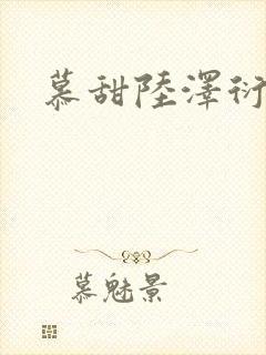 慕甜陆泽衍小说