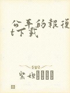 公平的报复txt下载