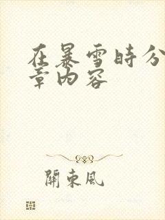 在暴雪时分54章内容