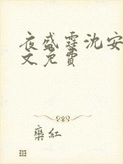 夜盛霆沈安然全文免费