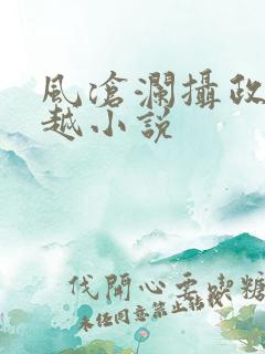 风沧澜摄政王穿越小说