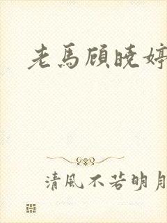 老马顾晓婷小说