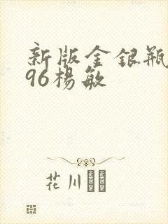 新版金银瓶1996杨敏