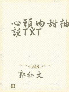 心头肉甜柚子小说TXT