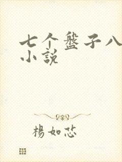 七个盘子八个碗小说