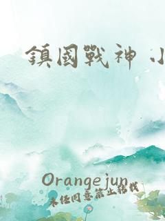 镇国战神 小说