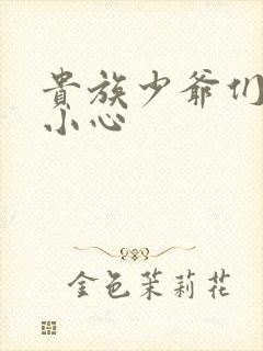 贵族少爷们 请小心