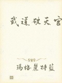 武道破天官网