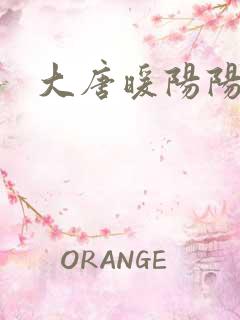 大唐暖阳阳