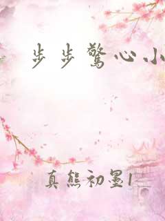 步步惊心小说2