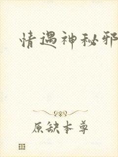 情遇神秘邪少