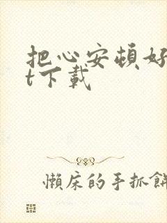 把心安顿好txt下载