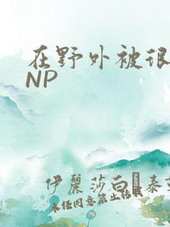 在野外被很多人NP